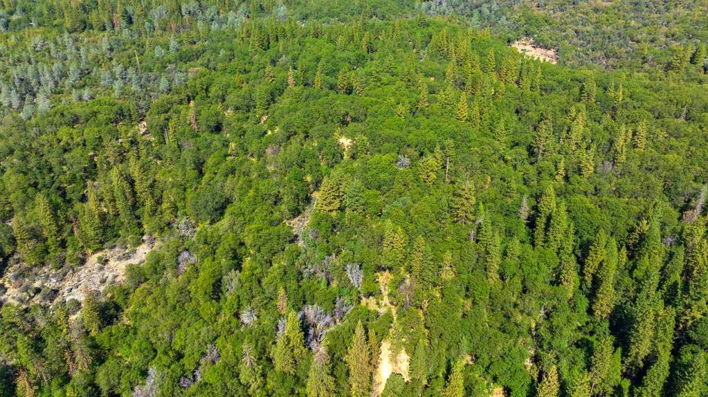 20866 Kuntz Court, Nevada City, CA 95959