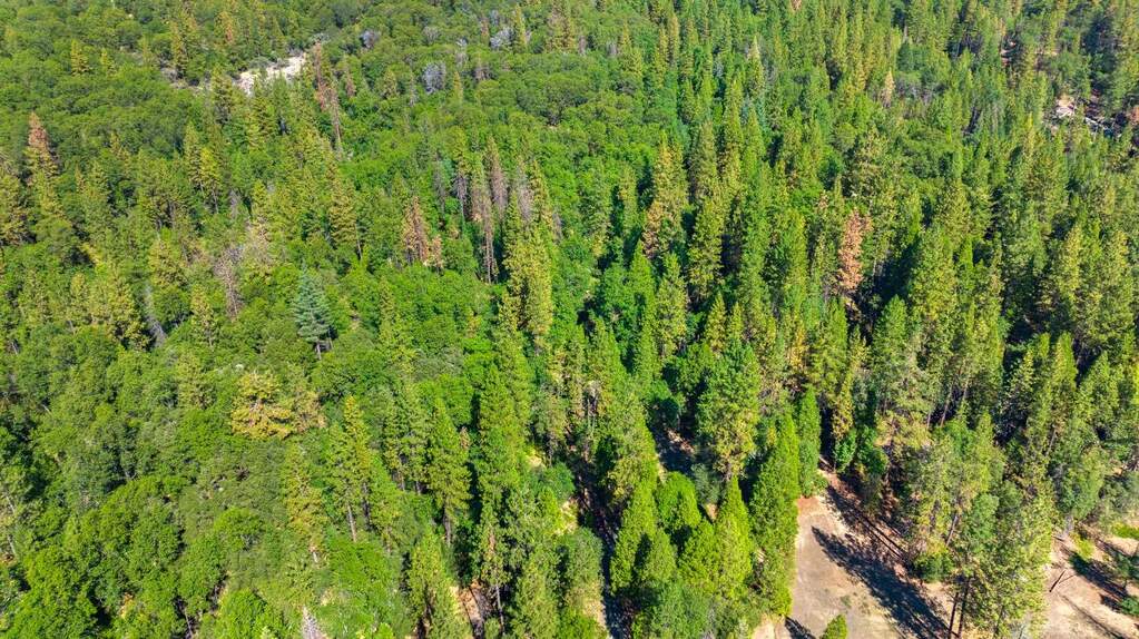 20866 Kuntz Court, Nevada City, CA 95959