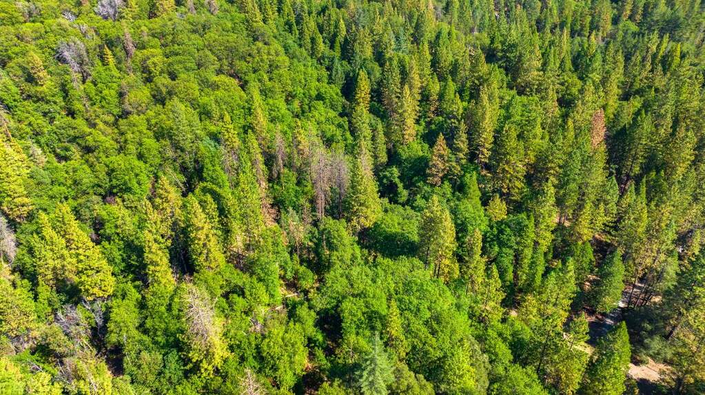 20866 Kuntz Court, Nevada City, CA 95959