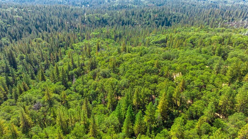 20866 Kuntz Court, Nevada City, CA 95959