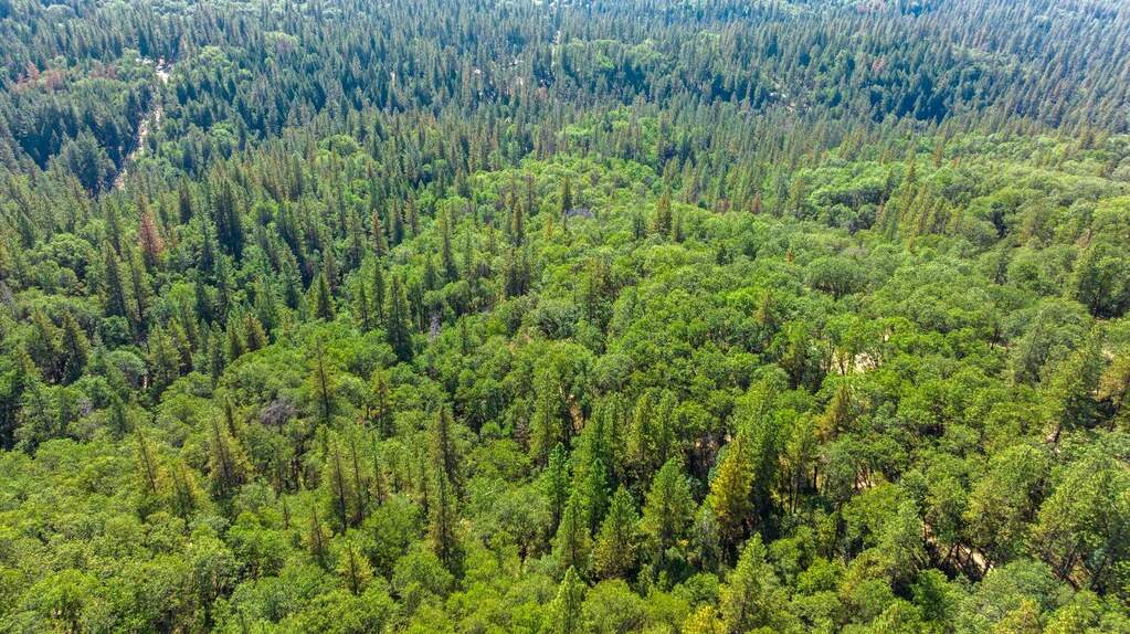 20866 Kuntz Court, Nevada City, CA 95959