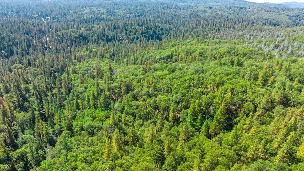 20866 Kuntz Court, Nevada City, CA 95959