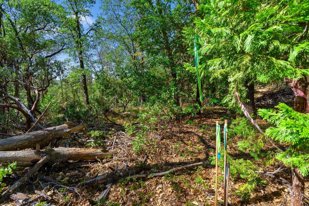 20866 Kuntz Court, Nevada City, CA 95959