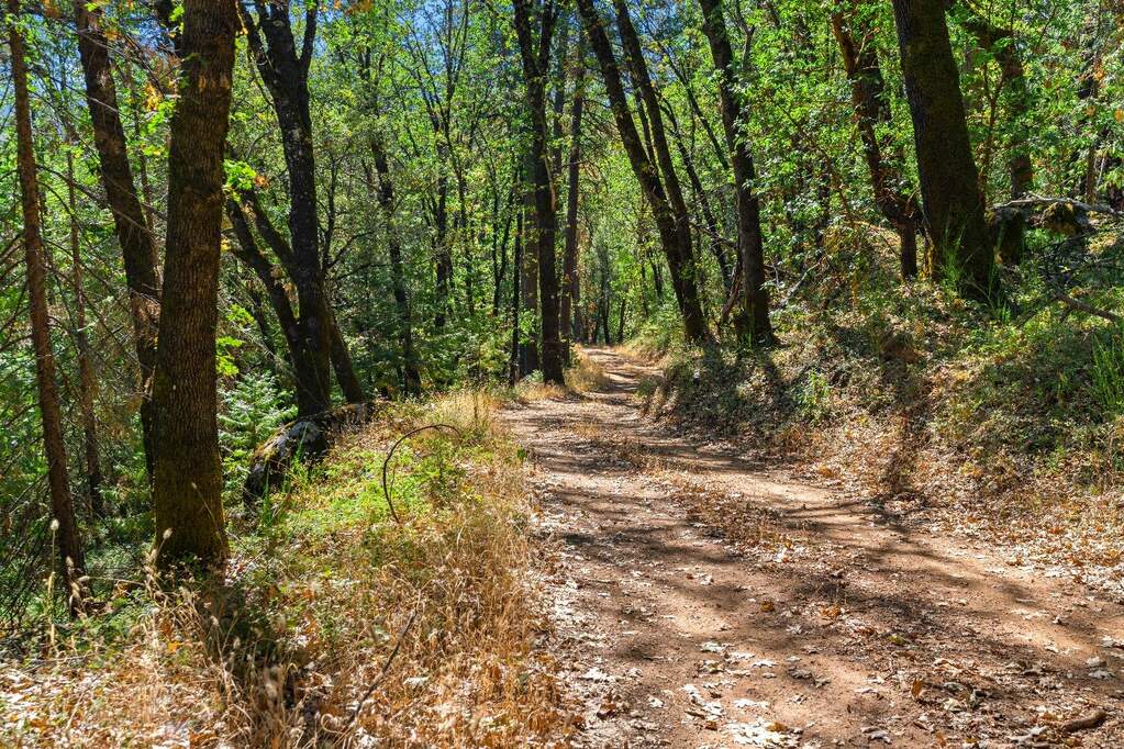 20866 Kuntz Court, Nevada City, CA 95959