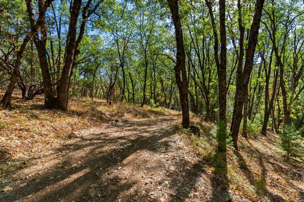 20866 Kuntz Court, Nevada City, CA 95959