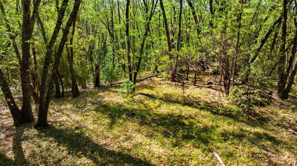 21345 Kuntz Court, Nevada City, CA 95959