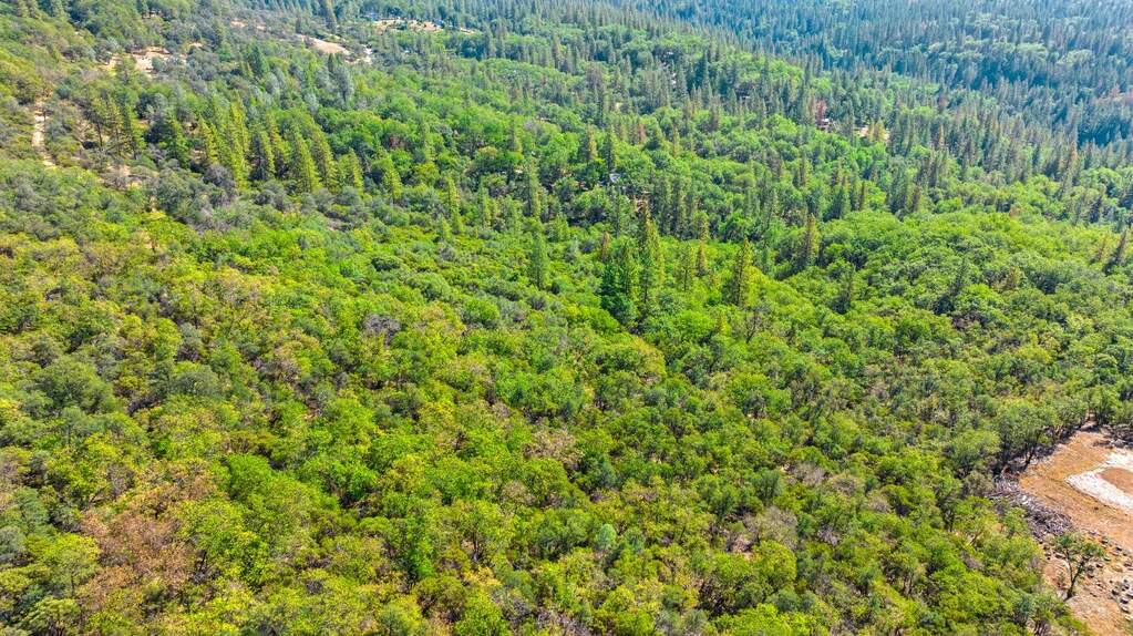 21345 Kuntz Court, Nevada City, CA 95959