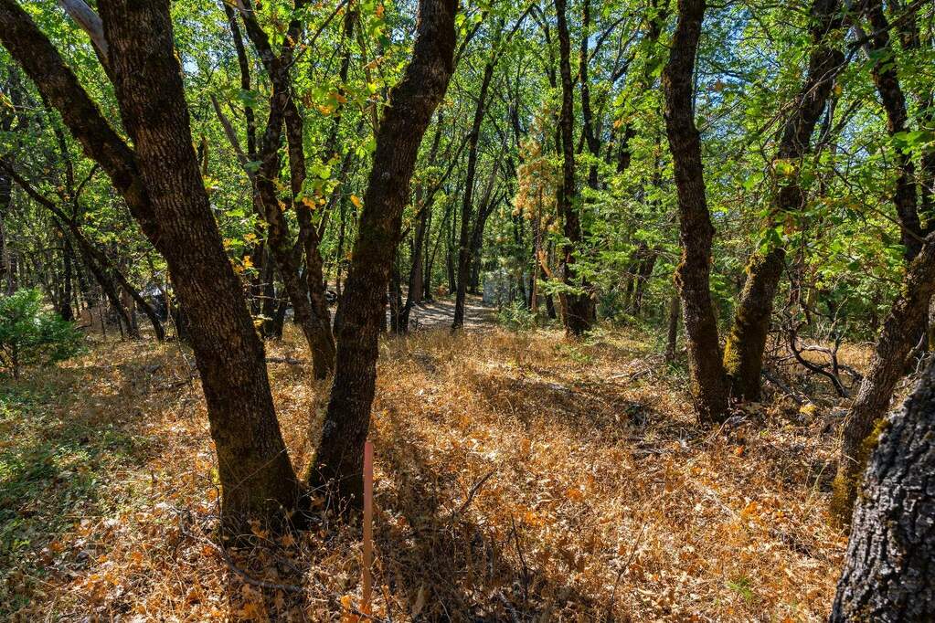 21345 Kuntz Court, Nevada City, CA 95959