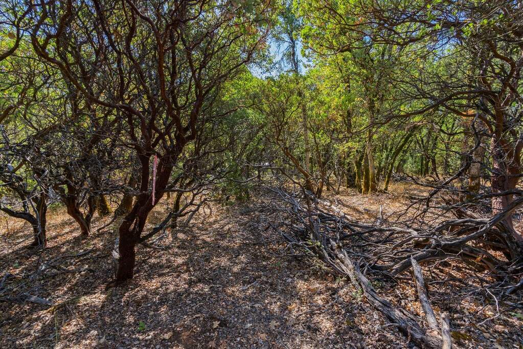 21345 Kuntz Court, Nevada City, CA 95959