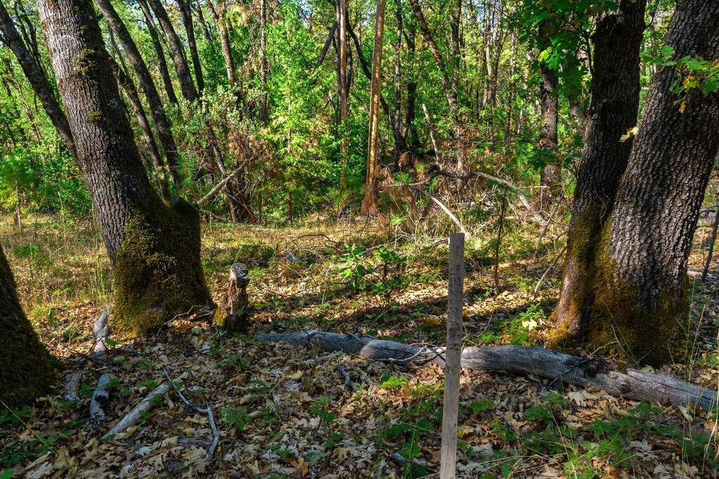 21345 Kuntz Court, Nevada City, CA 95959