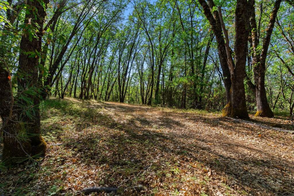 21345 Kuntz Court, Nevada City, CA 95959