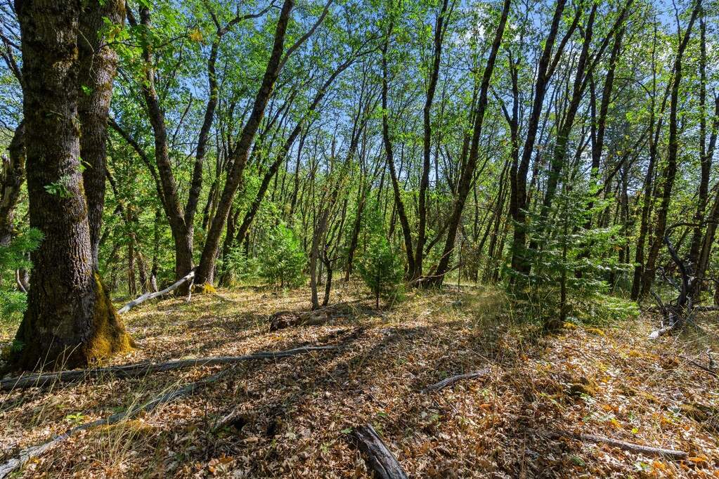 21345 Kuntz Court, Nevada City, CA 95959