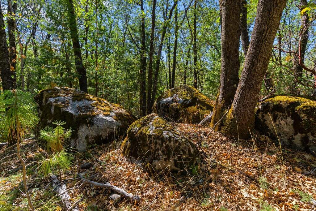 21345 Kuntz Court, Nevada City, CA 95959