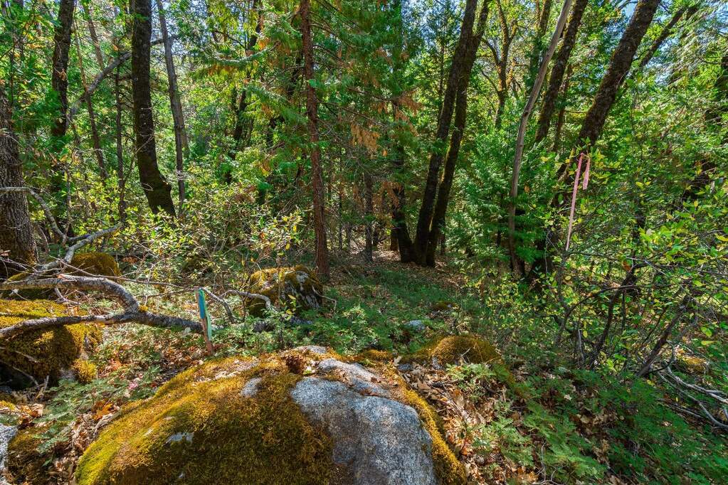 21345 Kuntz Court, Nevada City, CA 95959