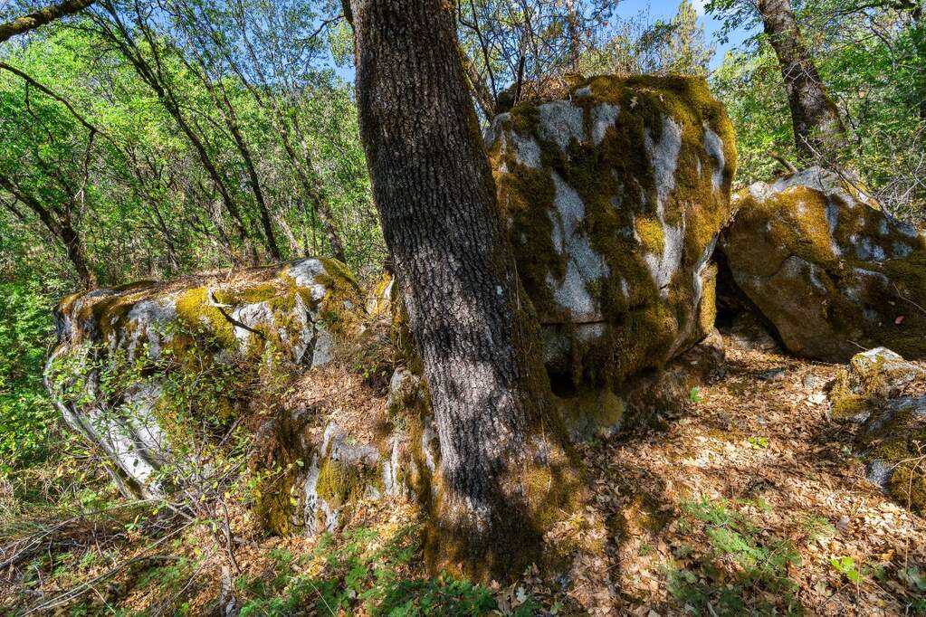 21345 Kuntz Court, Nevada City, CA 95959