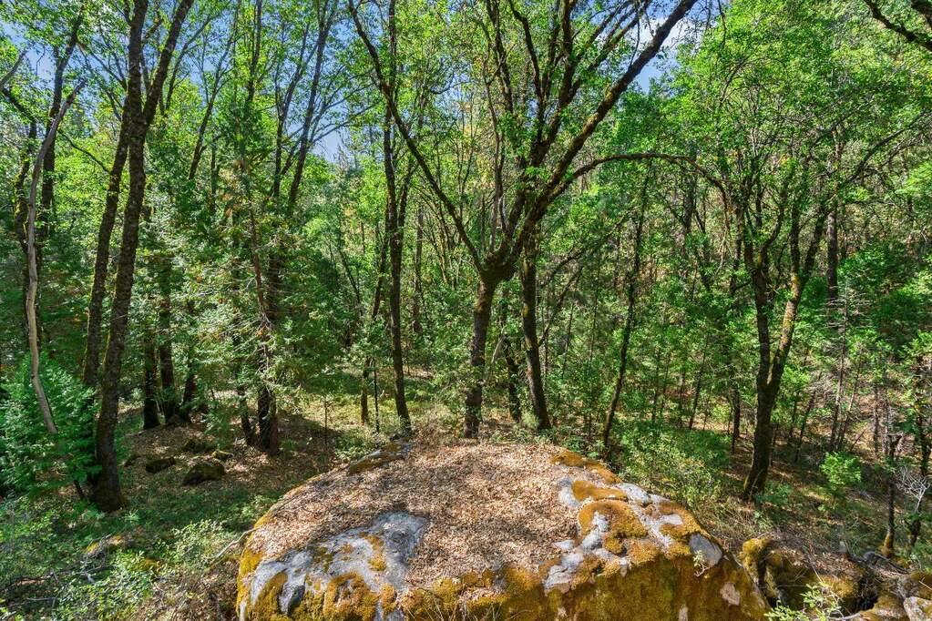 21345 Kuntz Court, Nevada City, CA 95959