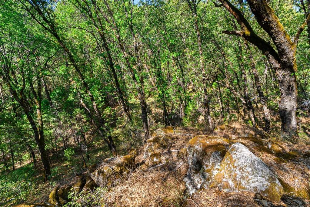 21345 Kuntz Court, Nevada City, CA 95959