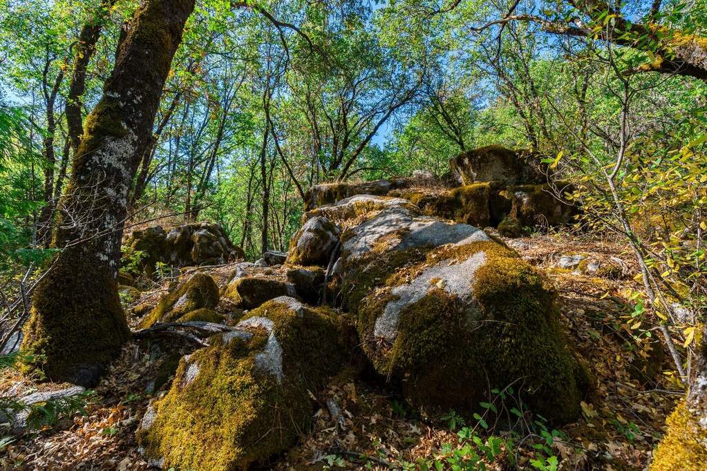 21345 Kuntz Court, Nevada City, CA 95959