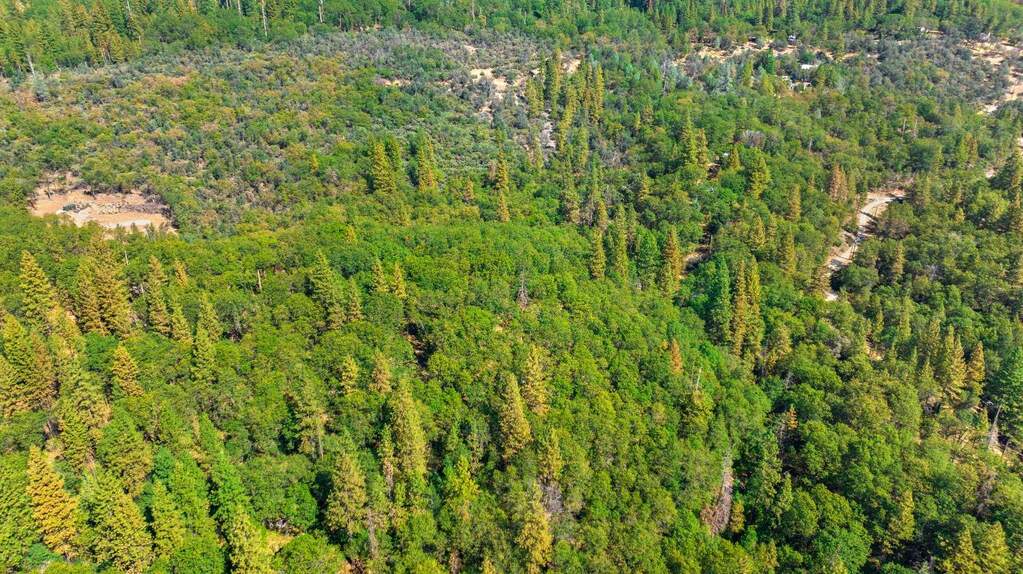 21345 Kuntz Court, Nevada City, CA 95959