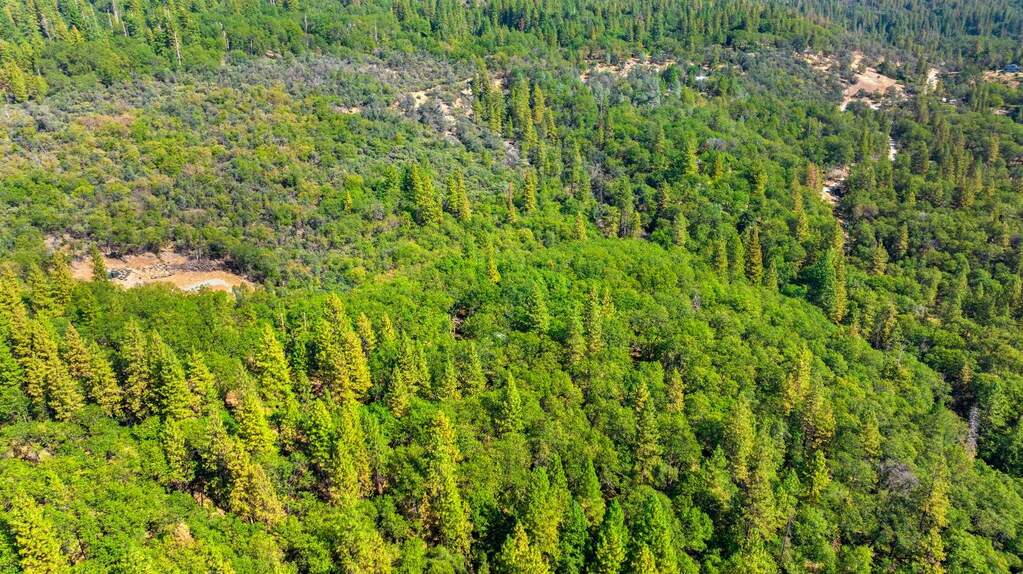 21345 Kuntz Court, Nevada City, CA 95959