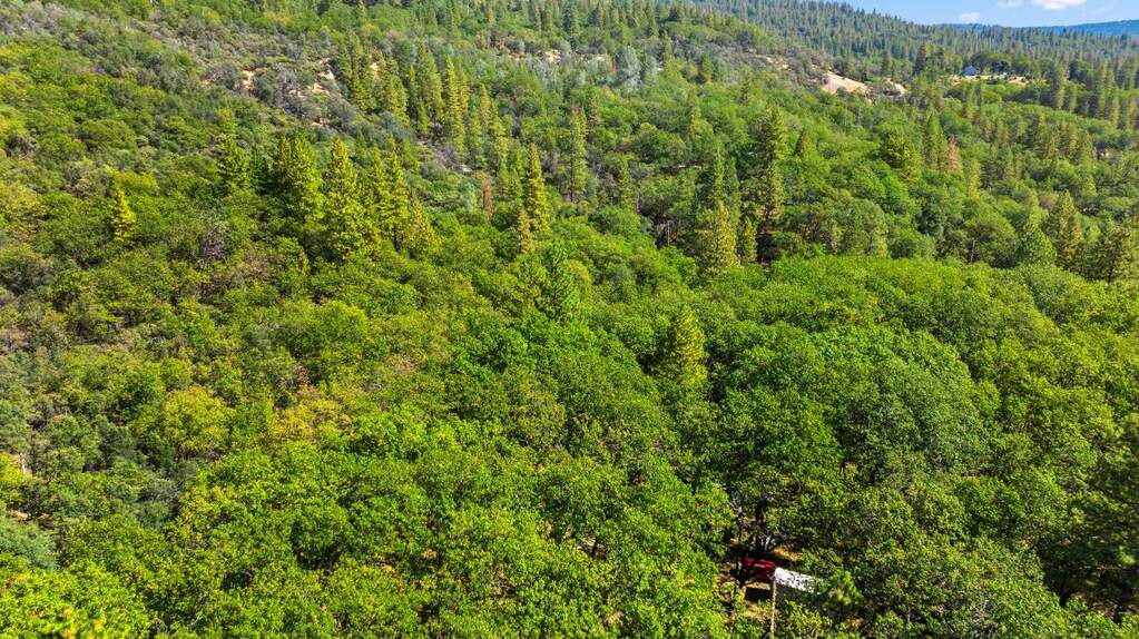 21345 Kuntz Court, Nevada City, CA 95959