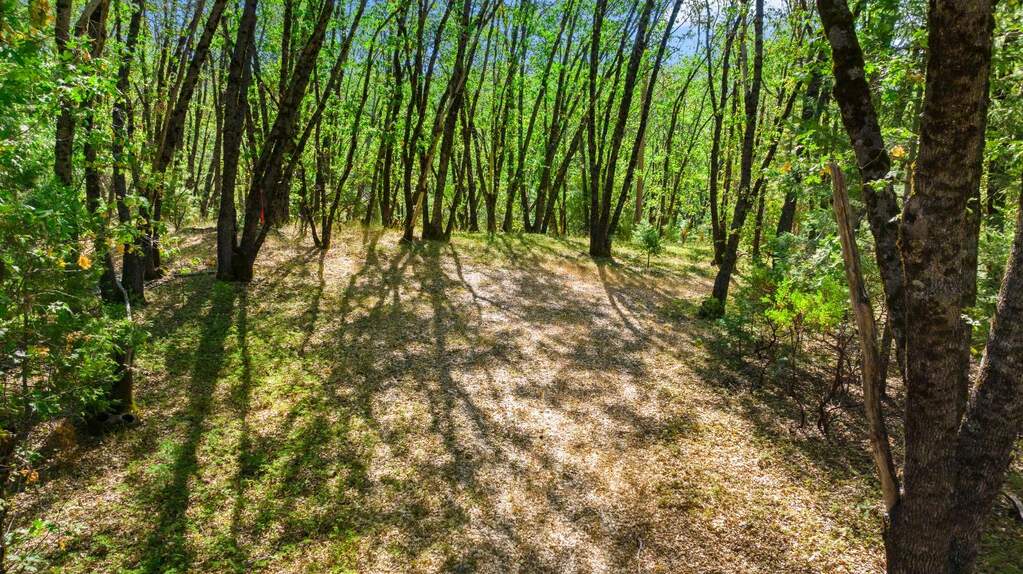 21345 Kuntz Court, Nevada City, CA 95959