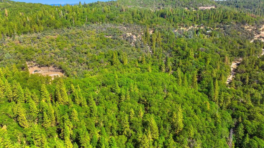 21345 Kuntz Court, Nevada City, CA 95959