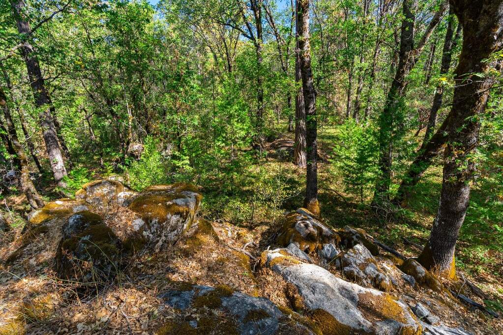 21345 Kuntz Court, Nevada City, CA 95959