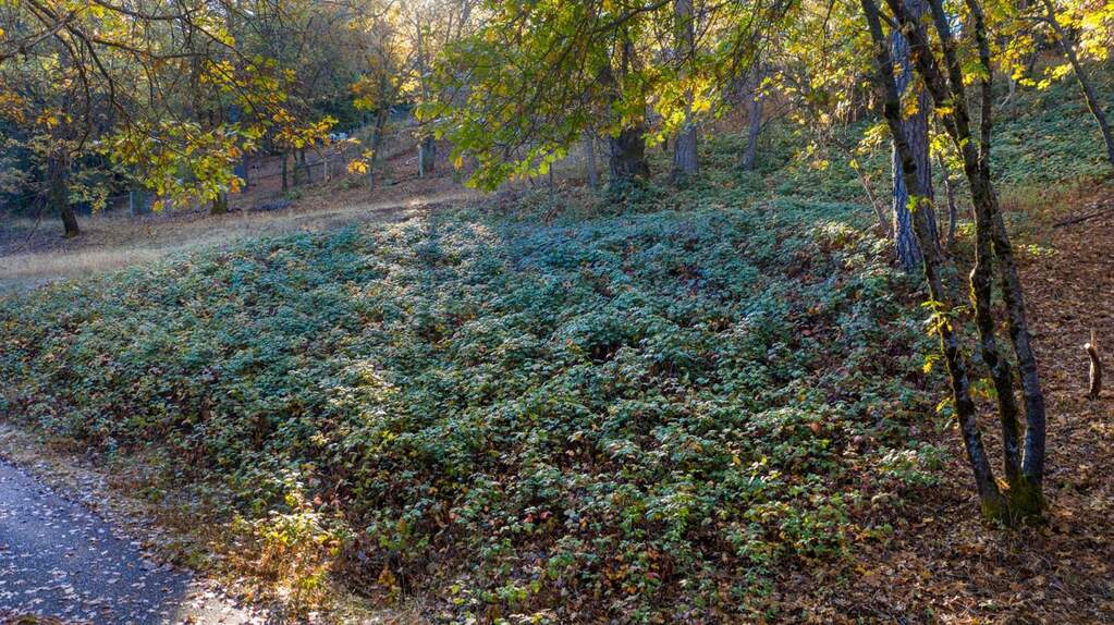 118 Sierra Blanca Court, Grass Valley, CA 95945