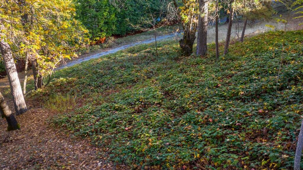 118 Sierra Blanca Court, Grass Valley, CA 95945