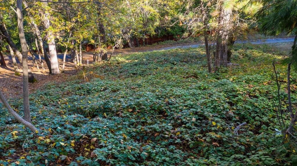 118 Sierra Blanca Court, Grass Valley, CA 95945