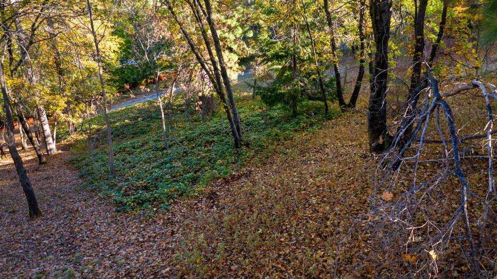 118 Sierra Blanca Court, Grass Valley, CA 95945