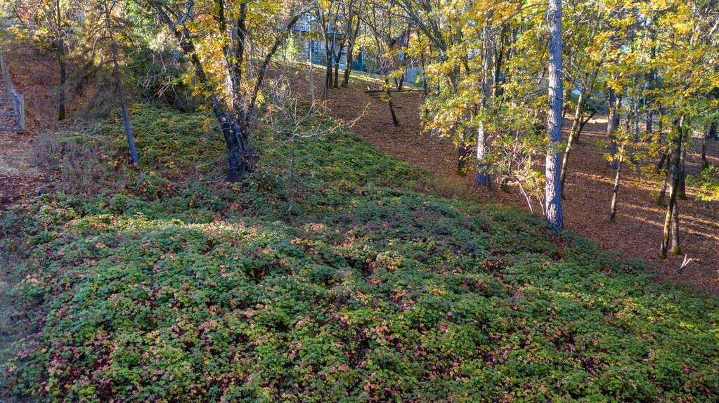 118 Sierra Blanca Court, Grass Valley, CA 95945