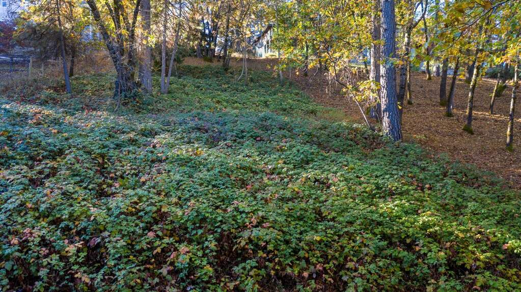 118 Sierra Blanca Court, Grass Valley, CA 95945