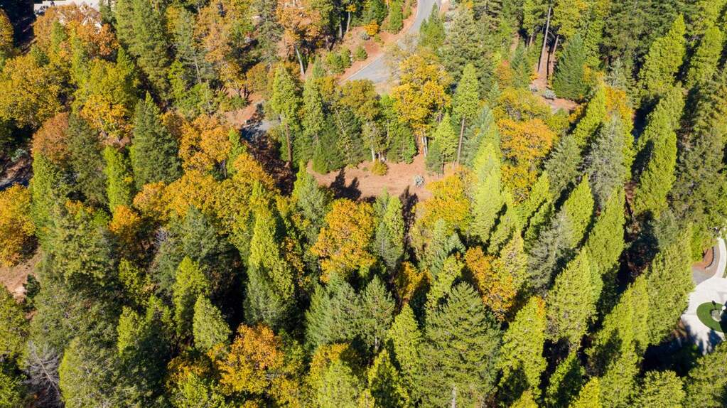 13837 Gemini Court, Nevada City, CA 95959