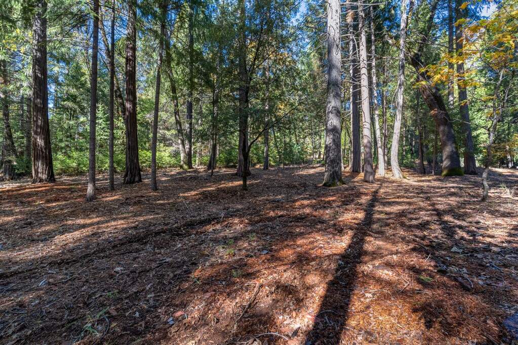 13837 Gemini Court, Nevada City, CA 95959