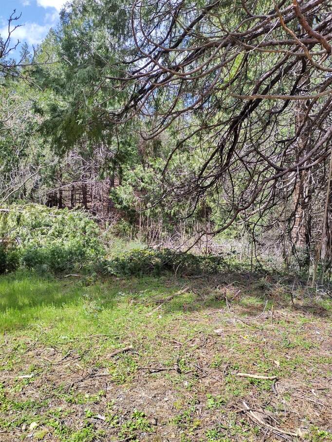 6141 State Highway 193 photo