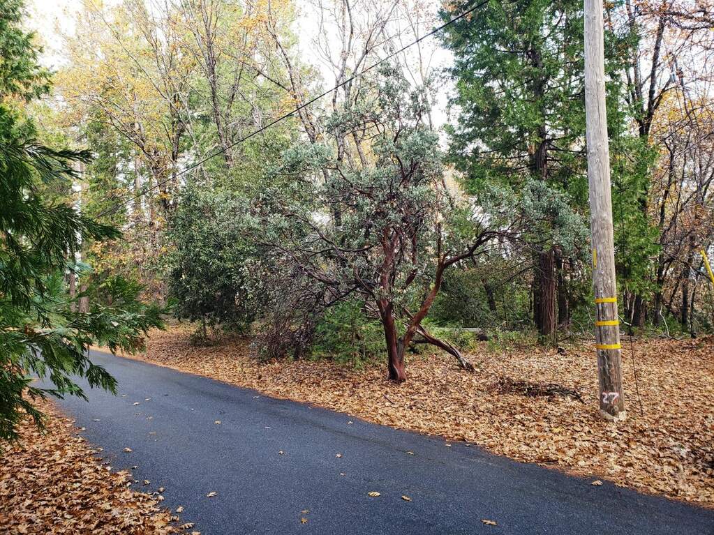 10-D Buffalo Hill Road photo