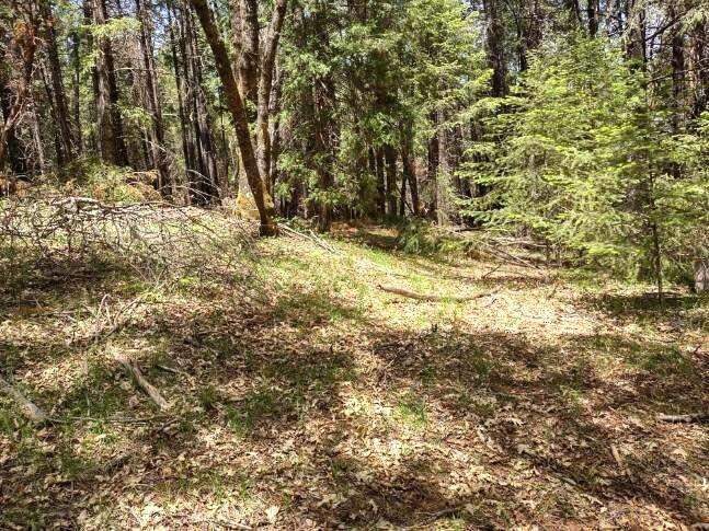 10-B Buffalo Hill Road photo