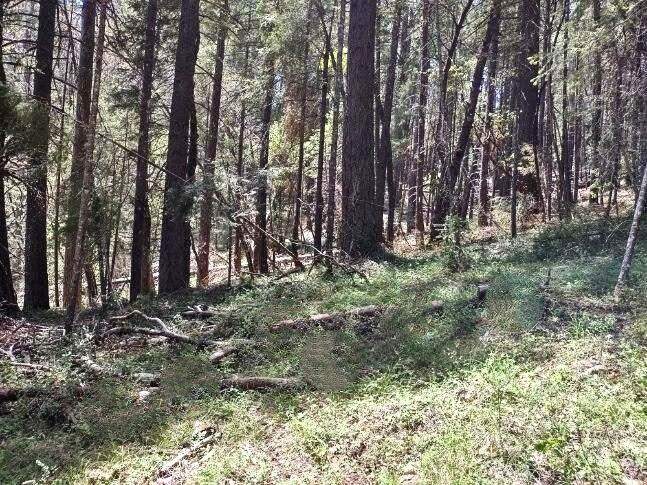 10-C Buffalo Hill Road photo