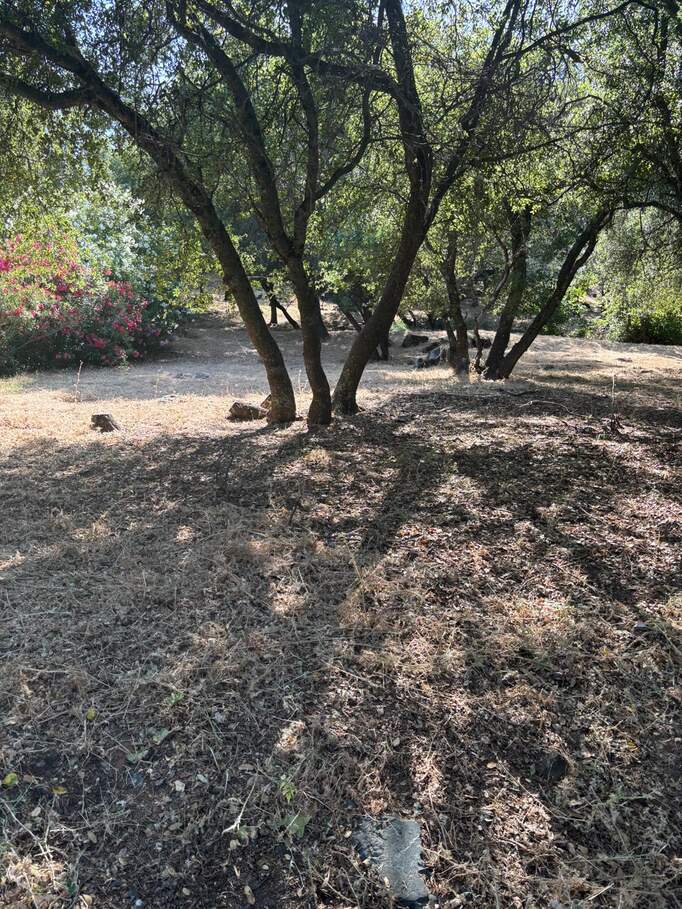 12964 Roadrunner Dr photo