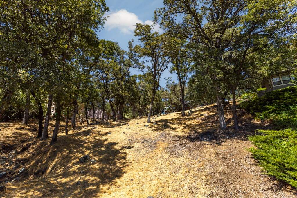 13843 Sun Forest Drive photo