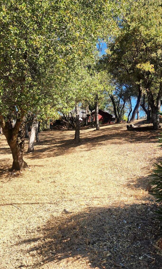 13033 Lake Wildwood Drive photo