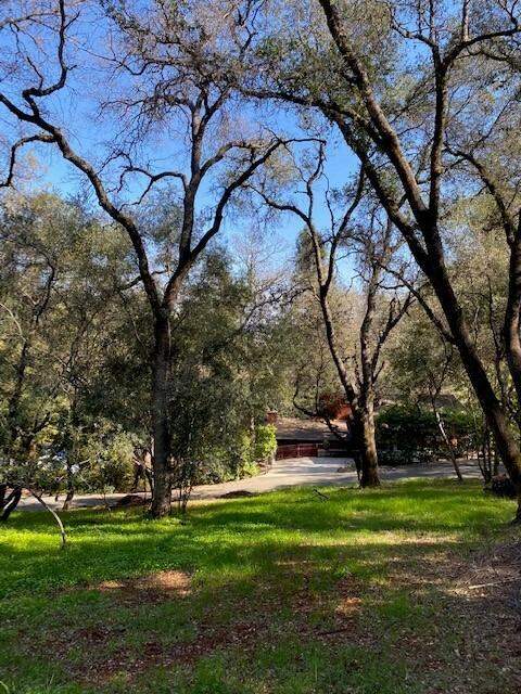681 Foresthill Avenue photo