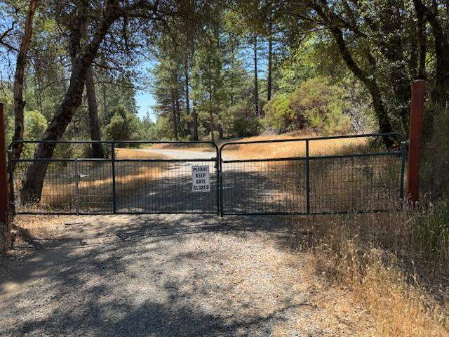 10884 Milky Way photo