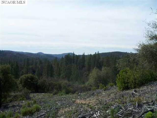 24271 Hoyt Crossing Road photo