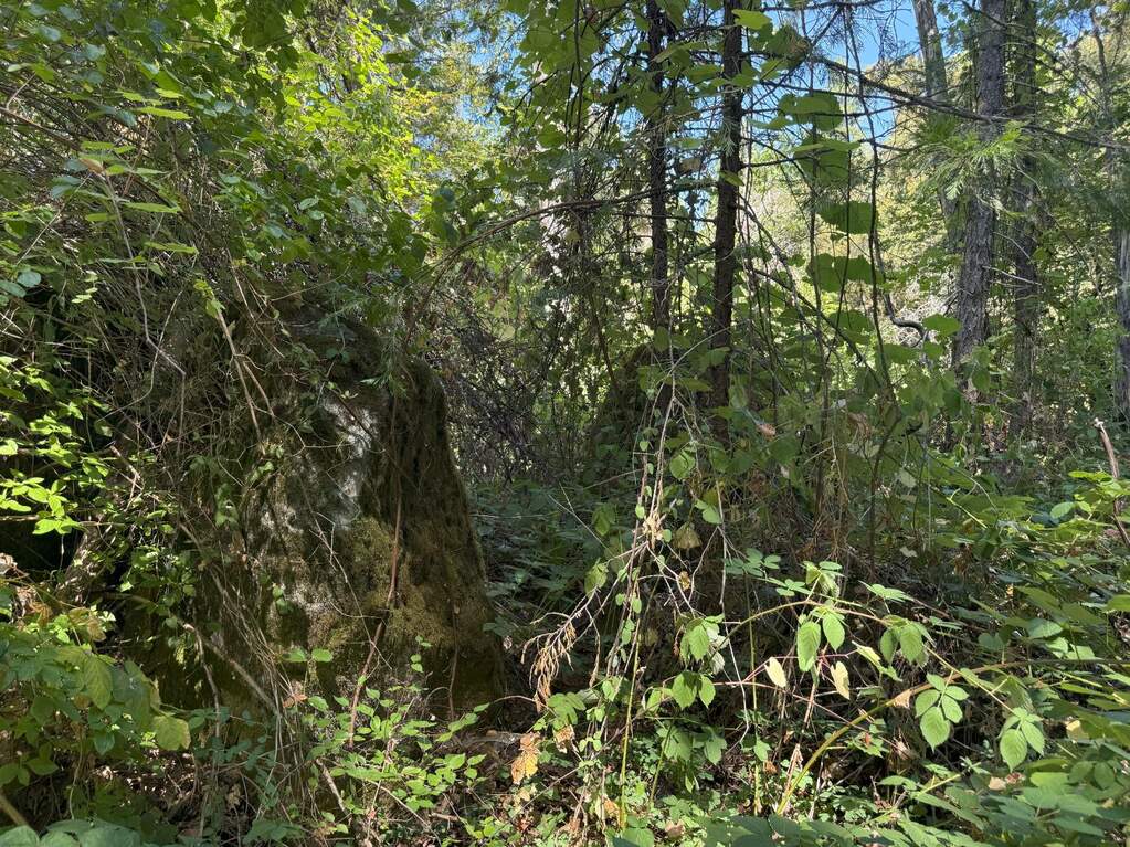 14742 Boquest Drive photo