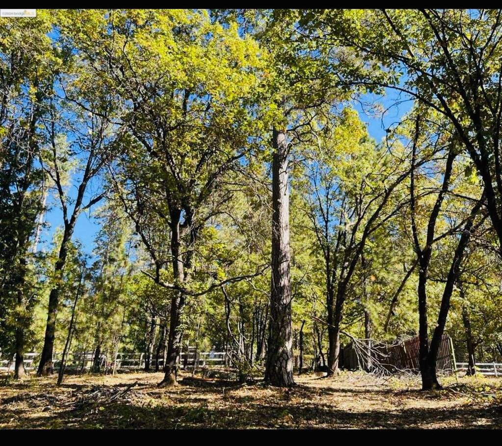 14562 Flicker Drive photo