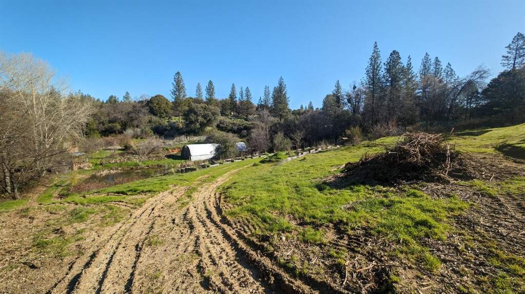 11194 Tyler Foote Road photo