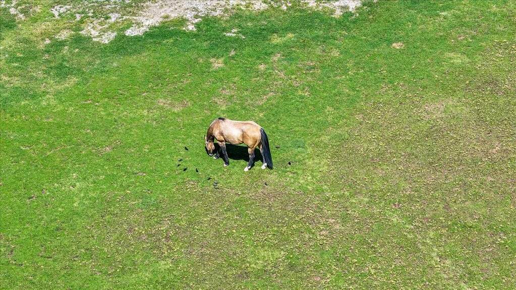 20603 Longridge Court, Groveland, CA 95321